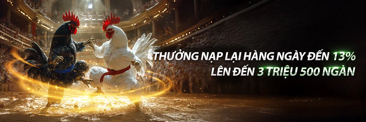 Đá Gà Trực Tuyến Hấp Dẫn tại TD88